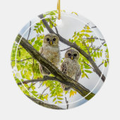 Barred Owlets Springtime Keramik Ornament (Hinten)