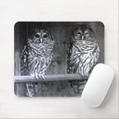 Barred Owls Mousepad (Mit Mouse)