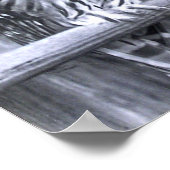 Barred Owls Poster (Ecke)