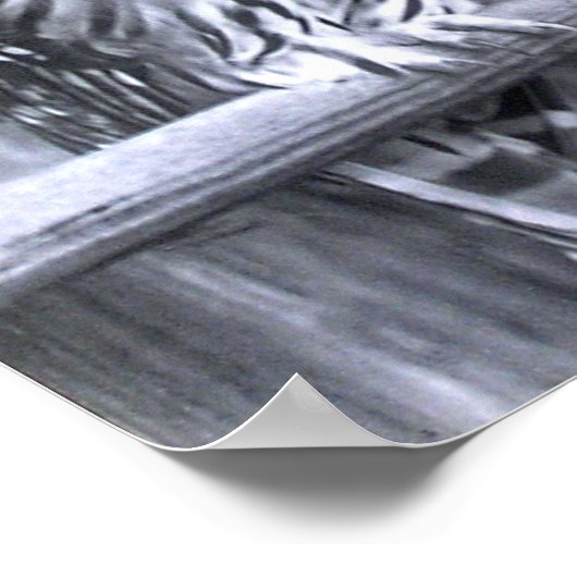 Barred Owls Poster (Ecke)