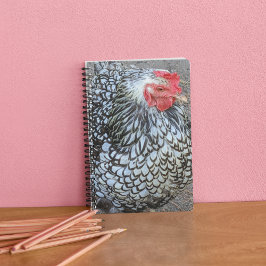 Barred Plymouth Rock Chicken Notizblock