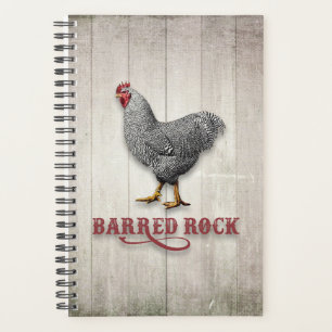 Barred Rock Chicken Planer
