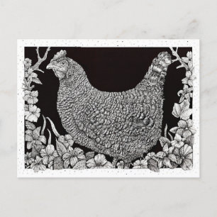 Barred Rock Chicken Postkarte