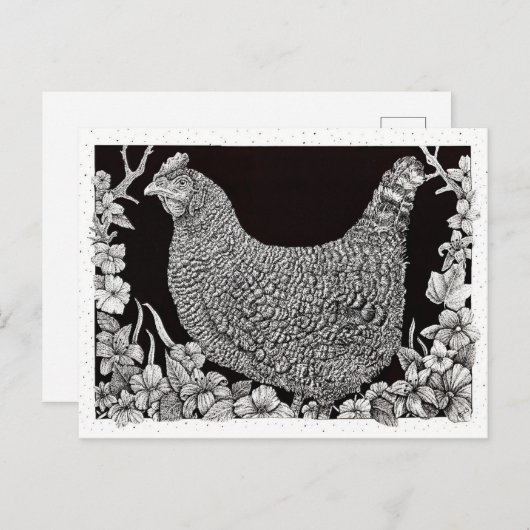 Barred Rock Chicken Postkarte (Vorne/Hinten)