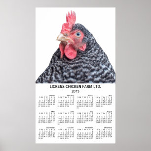 Barred Rock Chicken Wall Jährlich Kalender 2013 Poster