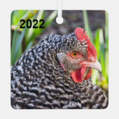 Barred Rock Hen - Hähnchen für Haustiere Ornament Aus Metall (Rückseite)