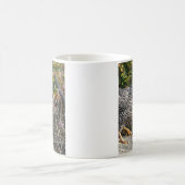 Barred Rock Hen Kaffeetasse (Mittel)