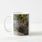 Barred Rock Hen Kaffeetasse (Links)