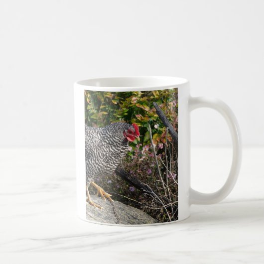 Barred Rock Hen Kaffeetasse (Rechts)