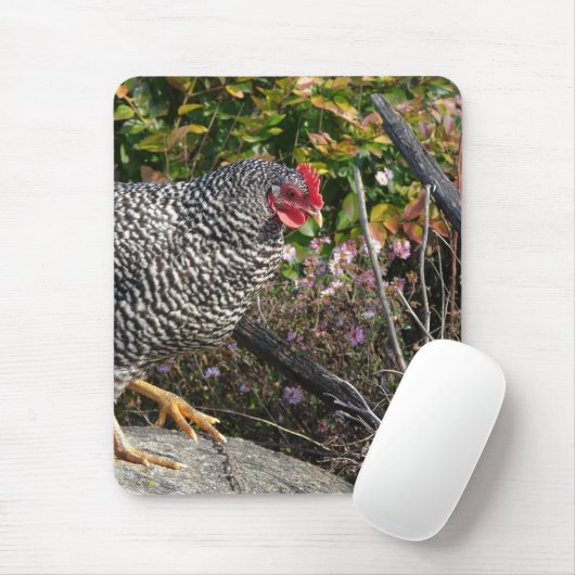 Barred Rock Hen Mousepad (Mit Mouse)