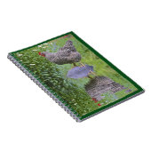 Barred Rock Hen Notizblock (Rechte Seite)