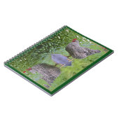 Barred Rock Hen Notizblock (Linke Seite)