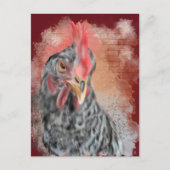 Barred Rock Hen Postkarte (Vorderseite)