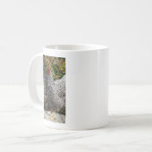 Barred Rock Kaffeetasse (Vorderseite Links)