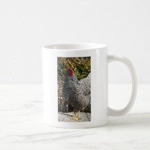 Barred Rock Kaffeetasse