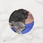 Barred Rock Konfetti (Klein Vorderseite)
