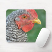 Barred Rock Mousepad (Mit Mouse)