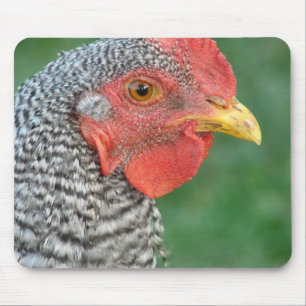 Barred Rock Mousepad