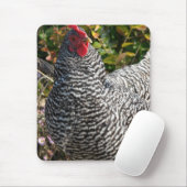Barred Rock Mousepad (Mit Mouse)