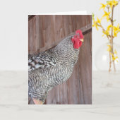 Barred Rock Rooster Karte (Gelbe Blume)