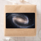 Barred Spiral Galaxy (Insitu)