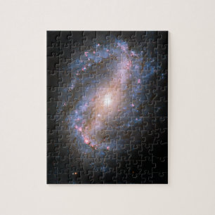 Barred Spiral Galaxy Puzzle