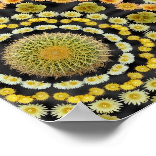 Barrel Cactus Array 1 Poster (Ecke)