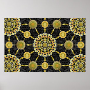 Barrel Cactus Array 1 Poster