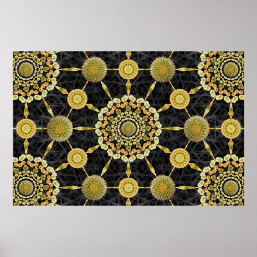 Barrel Cactus Array 1 Poster (Vorne)