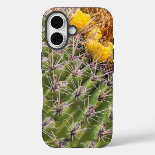 Barrel Cactus Case-Mate iPhone Hülle (Rückseite)