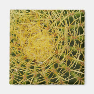 Barrel Cactus Closeup Nature Fotografy Magnet