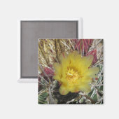 Barrel Cactus Fishaken Yellow Magnet (Vorderseite/Rückseite)
