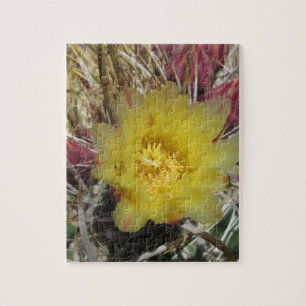 Barrel Cactus Fishaken Yellow Puzzle