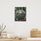 Barrel Cactus Foto Mexico Südwest Cacti Poster (Küche)