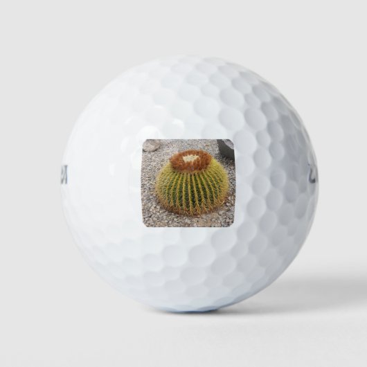 Barrel Cactus Golfball (Vorderseite)