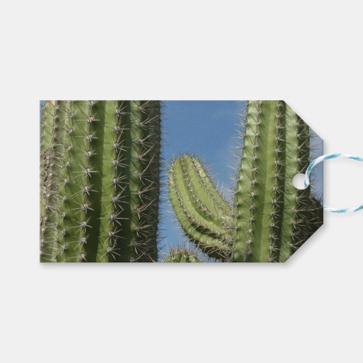 Barrel Cactus I Desert Foto Geschenkanhänger (Vorderseite (Horizontal))