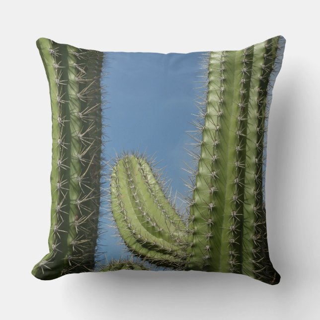 Barrel Cactus I Desert Foto Kissen (Vorderseite)