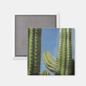 Barrel Cactus I Desert Foto Magnet (Vorderseite/Rückseite)
