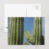 Barrel Cactus I Desert Foto Postkarte (Vorne/Hinten)