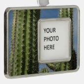 Barrel Cactus I Desert Foto Rahmen-Ornament Silber (Rechts)