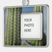 Barrel Cactus I Desert Foto Rahmen-Ornament Silber (Links)