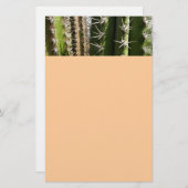 Barrel Cactus II Desert Nature Foto Briefpapier (Vorne/Hinten)