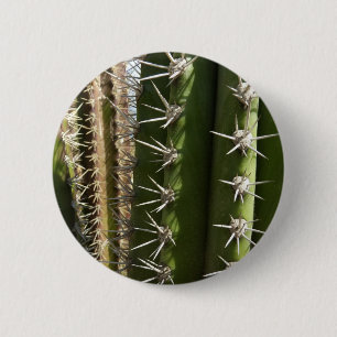 Barrel Cactus II Desert Nature Foto Button