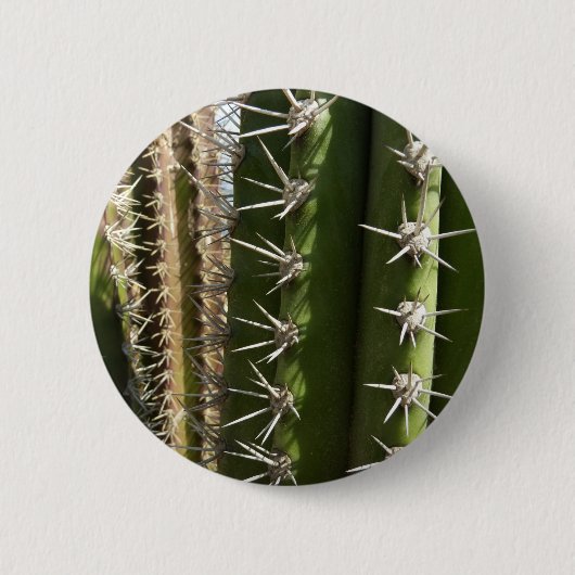 Barrel Cactus II Desert Nature Foto Button (Vorderseite)