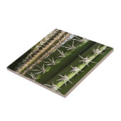 Barrel Cactus II Desert Nature Foto Fliese (Seite)