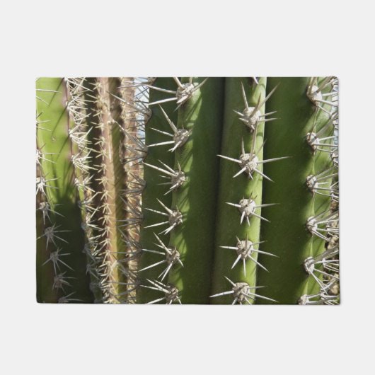 Barrel Cactus II Desert Nature Foto Fußmatte (Vorderseite)