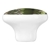 Barrel Cactus II Desert Nature Foto Keramikknauf (Seitenansicht)