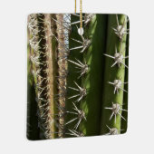 Barrel Cactus II Desert Nature Foto Keramikornament (Rechts)