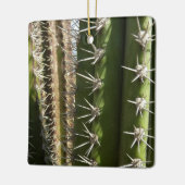 Barrel Cactus II Desert Nature Foto Keramikornament (Links)