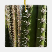 Barrel Cactus II Desert Nature Foto Keramikornament (Vorderseite)